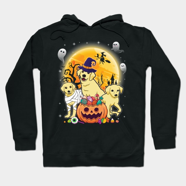 Labrador Dog Mummy Witch Moon Ghosts Happy Halloween Thanksgiving Merry Christmas Day Hoodie by joandraelliot